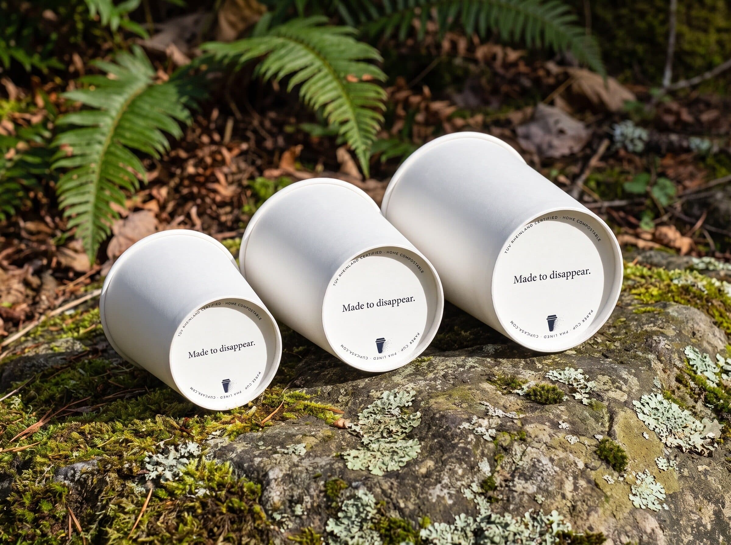 The three cupcasa sizes lying on a mossy rock in a rainforest, printed bases to the camera
