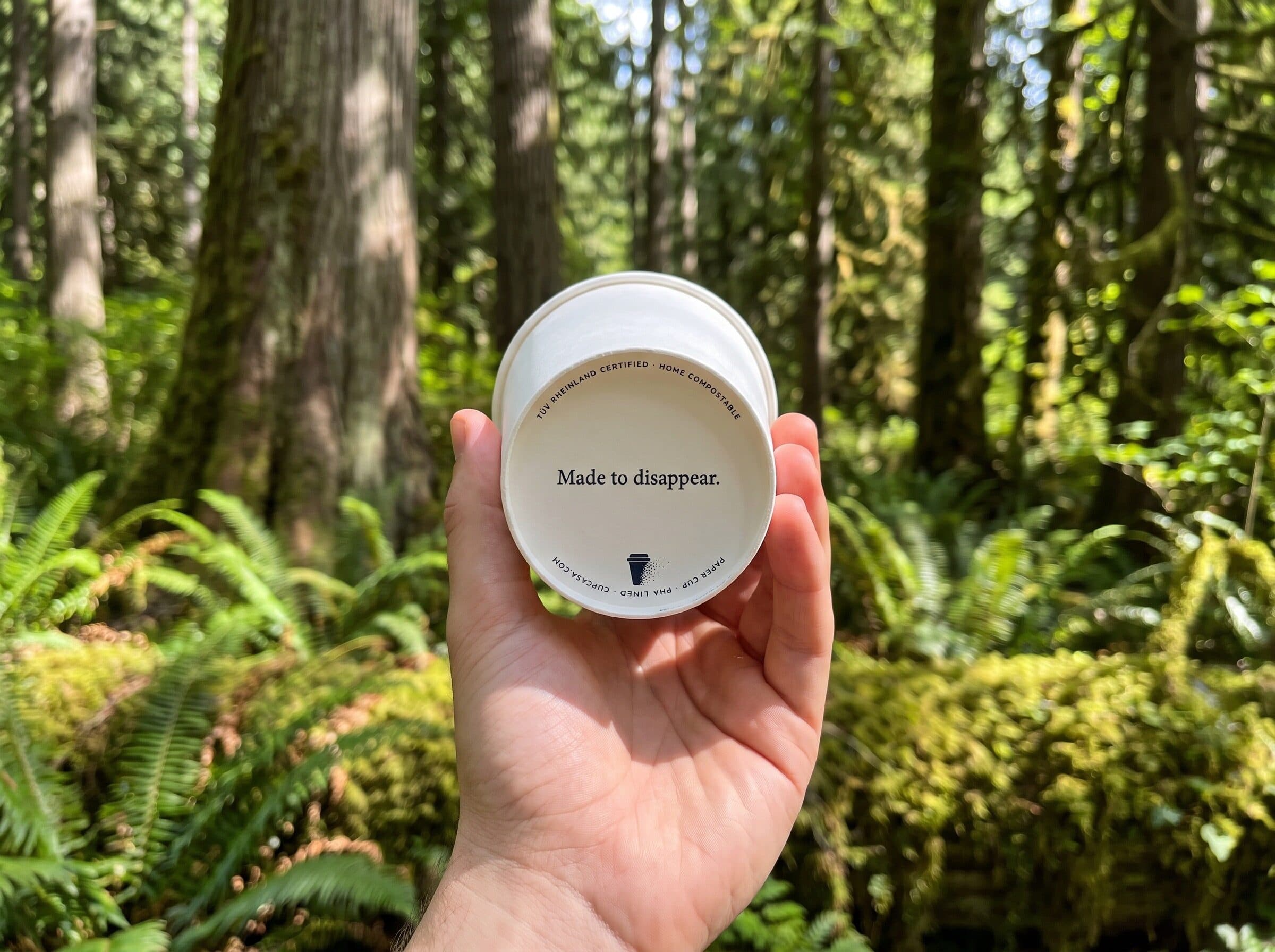 A hand holding up a cupcasa cup, base to the camera reading Made to disappear, old-growth forest behind